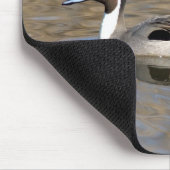 Pintail Duck zwemt in een hond Muismat (Hoek)