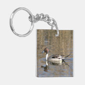 Pintail Duck zwemt in een hond Sleutelhanger (Voorkant Links)