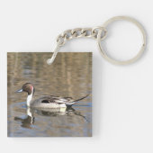 Pintail Duck zwemt in een hond Sleutelhanger (Achterkant)