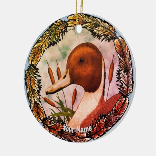 Pintail eend ornament (Links)