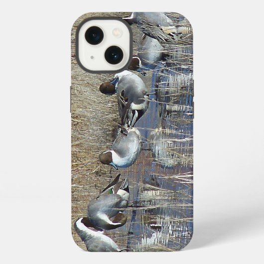 Pintail Eenden iPhone 6 Hoesje iPhone 13 Hoesje (Achterkant)