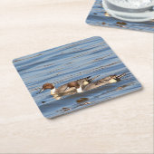 Pintail-onderzetter Kartonnen Onderzetters (Schuin)