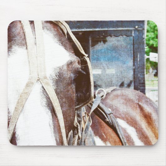 Pinto Amish Buggy Horse Muismat (Voorkant)