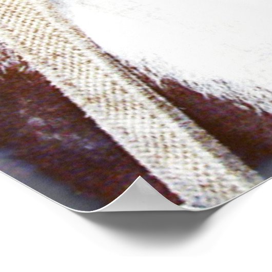 Pinto Amish Buggy Horse Poster (Hoek)