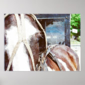 Pinto Amish Buggy Horse Poster (Voorkant)