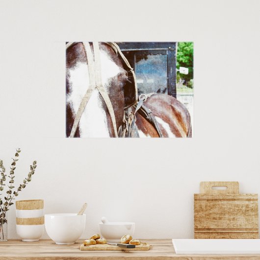 Pinto Amish Buggy Horse Poster (Keuken)