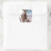 Pinto Amish Buggy Horse Vierkante Sticker (Tas)