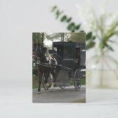 Pinto Amish Paard en Buggy Briefkaart (Staand voorkant)