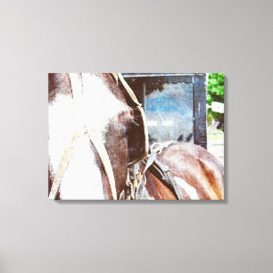 Pinto Amish Paard-en-wagen Paard Canvas Afdruk