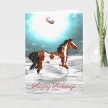 Pinto Arabische Kerstmis van het Paard