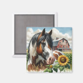 Pinto Brown en White Horse op rustiek Boerderij Magneet (Voorkant / Achterkant)