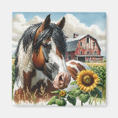 Pinto Brown en White Horse op rustiek Boerderij Magneet (Voorkant)