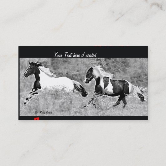 Pinto Business-kaarten Visitekaartje (Voorkant)