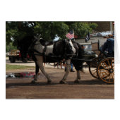 Pinto Draft Horse (Voorkant Horizontaal)