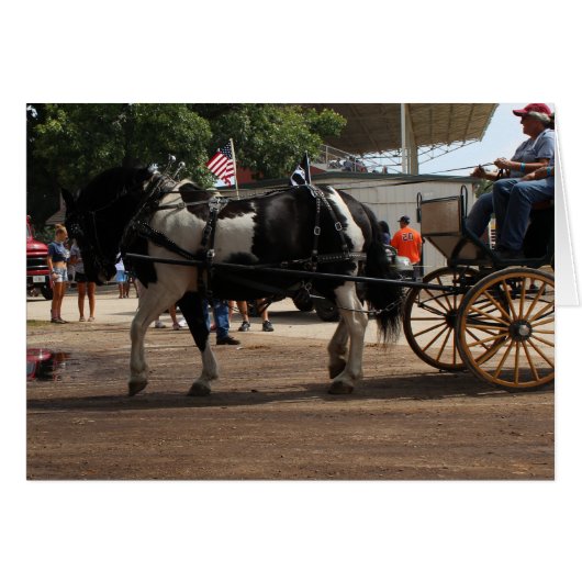 Pinto Draft Horse 2018 Mt. Pleasant, Iowa (Voorkant Horizontaal)