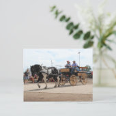 Pinto Draft Horse 2018 Mt. Pleasant, Iowa Briefkaart (Staand voorkant)