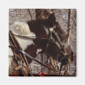 Pinto Draft Horse Magneet (Voorkant)