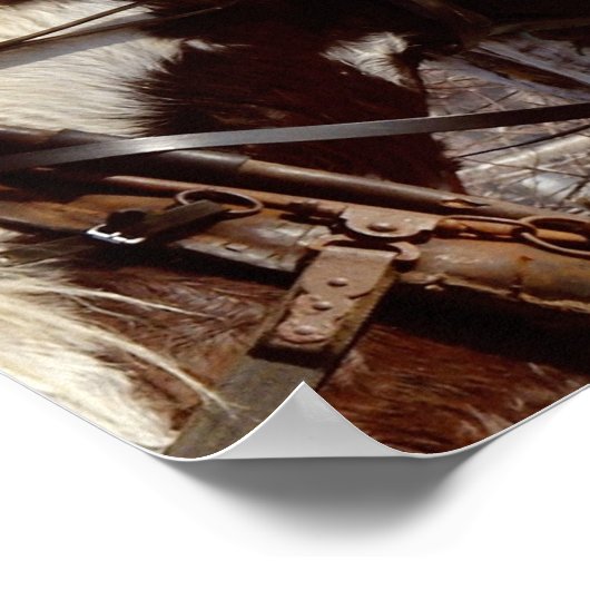 Pinto Draft Horse Poster (Hoek)