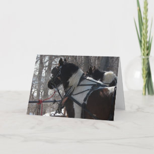 Pinto Draft Horses, Kerstmis Feestdagen Kaart