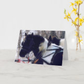 Pinto Draft Horses, Vaderdag Kaart (Gele Bloem)