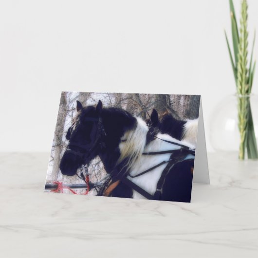 Pinto Draft Horses, Vaderdag Kaart (Voorkant)