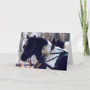 Pinto Draft Paard Team, Kerstmis Feestdagen Kaart