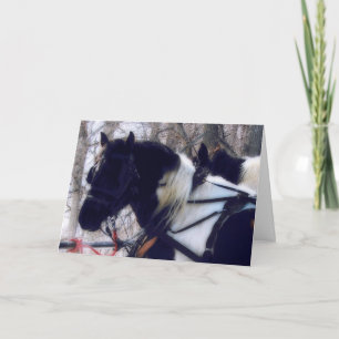 Pinto Draft Paard Team, Kerstmis Feestdagen Kaart