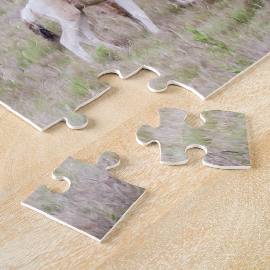 Pinto en Paint Wild Ponies of Assateague Legpuzzel (Zijkant)