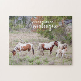 Pinto en Paint Wild Ponies of Assateague Legpuzzel