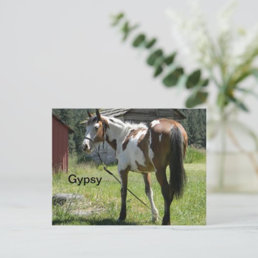 pinto filepkaart briefkaart (Staand voorkant)