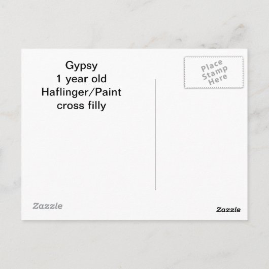 pinto filepkaart briefkaart (Achterkant)