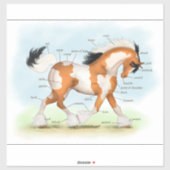 Pinto Gypsy Paard Educatieve Equine Anatomie Grafi Sticker (Vel)
