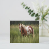Pinto Horse Briefkaart (Staand voorkant)