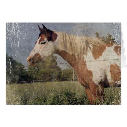 Pinto Horse Grunge (Voorkant Horizontaal)