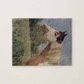Pinto Horse Grunge Legpuzzel (Horizontaal)