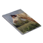 Pinto Horse Grunge Notitieboek (Rechterzijde)