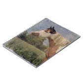Pinto Horse Grunge Notitieboek (Linkerzijde)