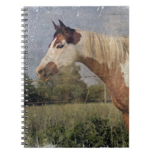 Pinto Horse Grunge Notitieboek