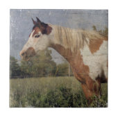 Pinto Horse Grunge Tegeltje (Voorkant)