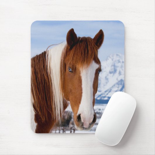 Pinto Horse Mount Moran in Winter Muismat (Met muis)