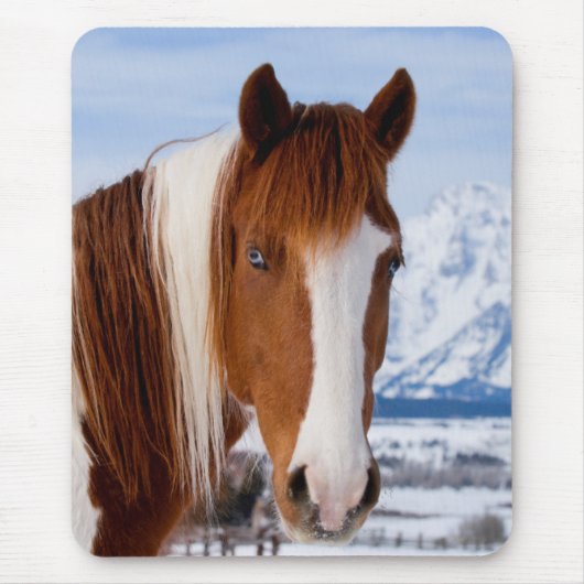 Pinto Horse Mount Moran in Winter Muismat (Voorkant)