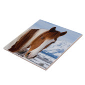 Pinto Horse Mount Moran in Winter Tegeltje (Zijkant)