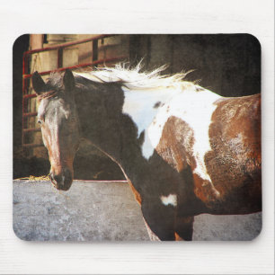 Pinto Horse Muismat