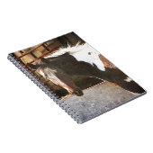 Pinto Horse Notitieboek (Rechterzijde)