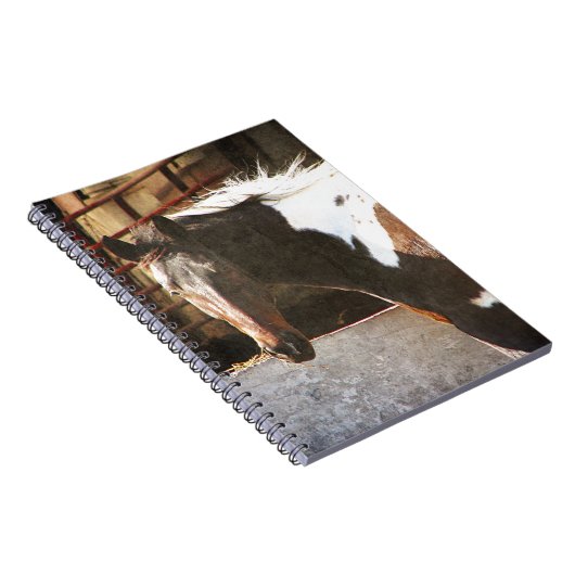 Pinto Horse Notitieboek (Rechterzijde)
