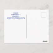 PINTO HORSE POST CARD BRIEFKAART (Achterkant)