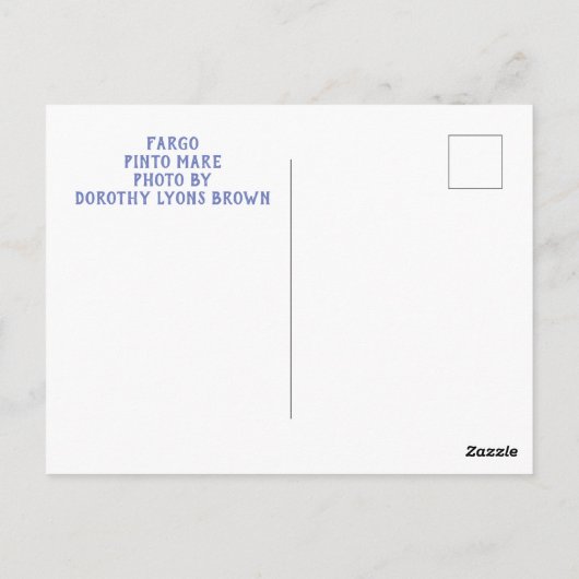 PINTO HORSE POST CARD BRIEFKAART (Achterkant)