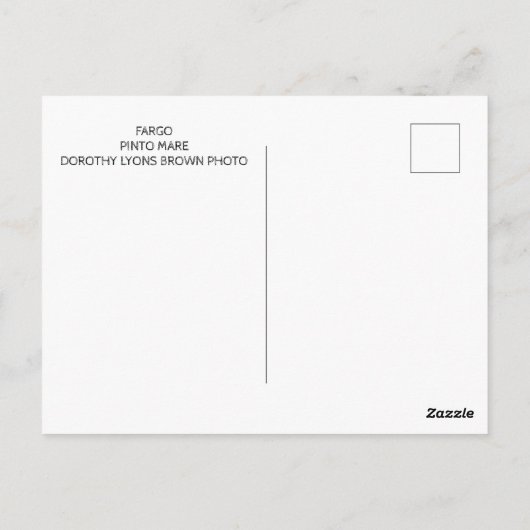 PINTO HORSE POST CARD BRIEFKAART (Achterkant)