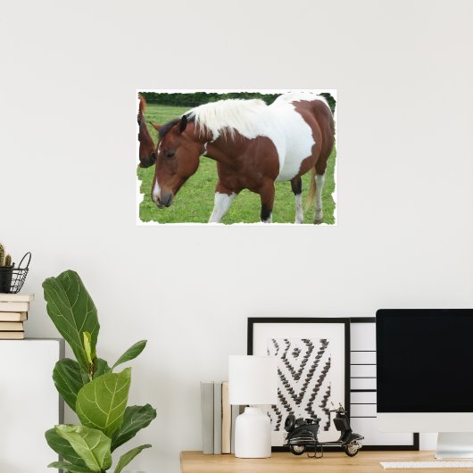 Pinto Horse Poster (Thuiskantoor)