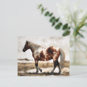 Pinto Horse Waterverf Briefkaart (Staand voorkant)